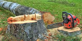 Best Commercial Tree Services  in Campbellsport, WI