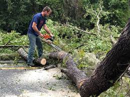 Best Seasonal Cleanup (Spring/Fall)  in Campbellsport, WI