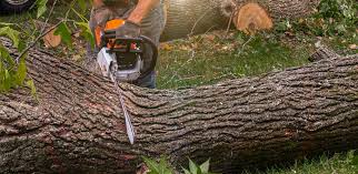 Lawn Irrigation Installation and Maintenance in Campbellsport, WI