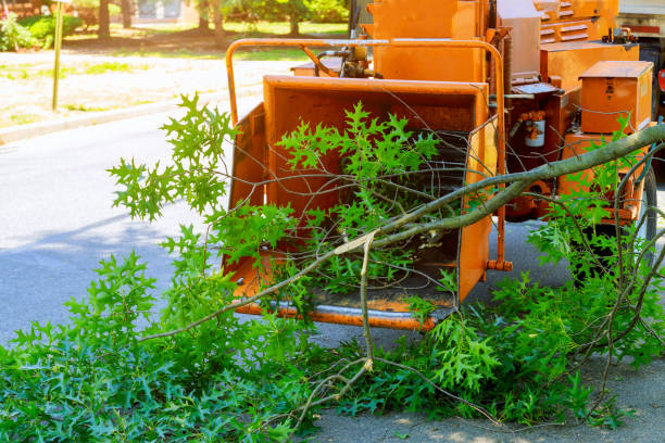 Best Aeration Services  in Campbellsport, WI